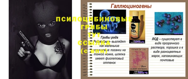 Альфа ПВП Пересвет