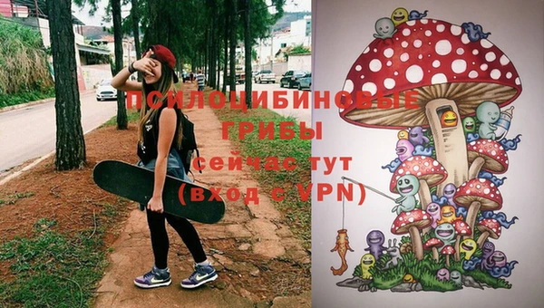 синтетический гашиш Пестово