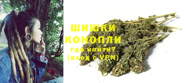 Альфа ПВП Пересвет
